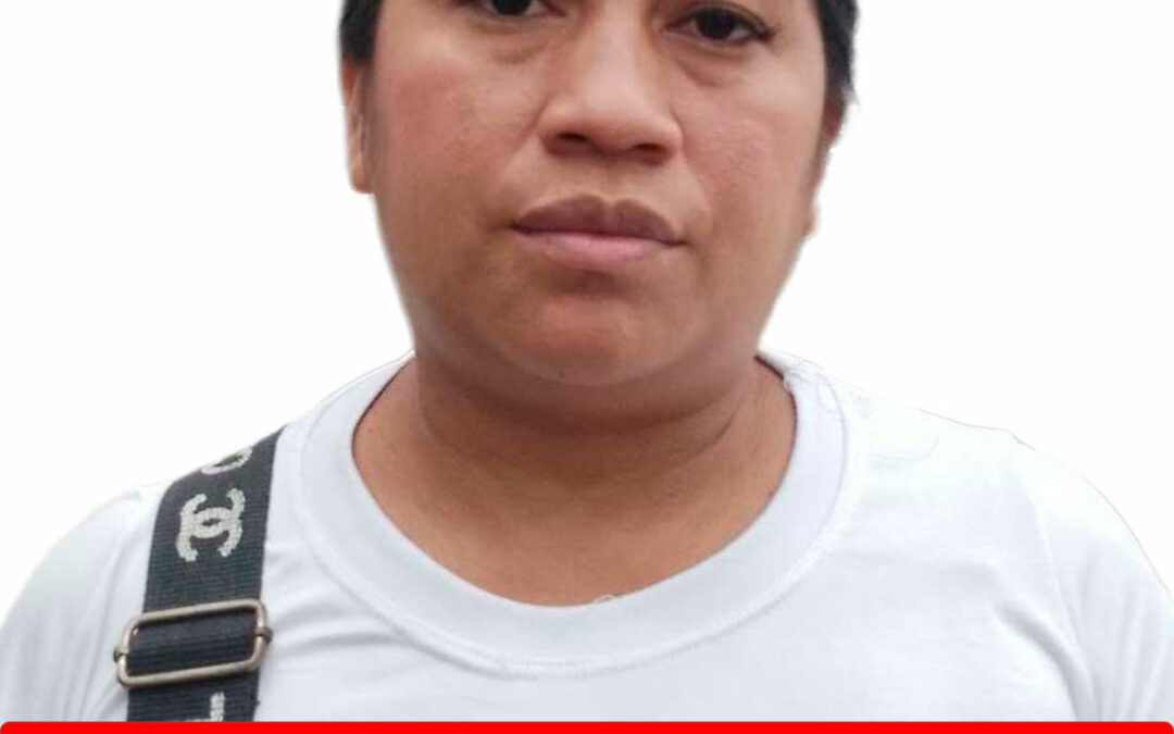 ALINA CHIQUINQUIRA GUERRERO PASSHAINA