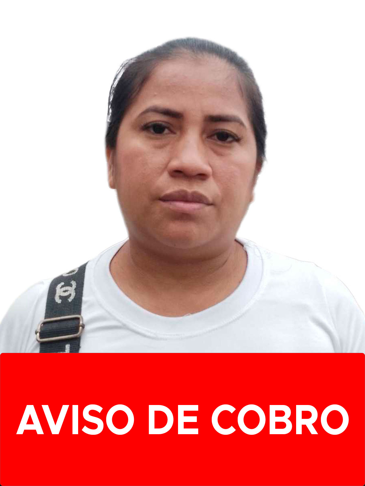 ALINA CHIQUINQUIRA GUERRERO PASSHAINA