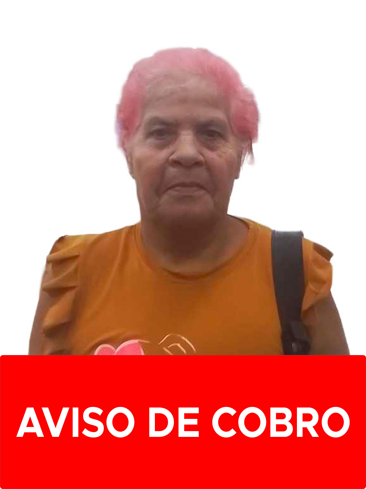 ANGELA BERTA GUDIÑO GAMBOA