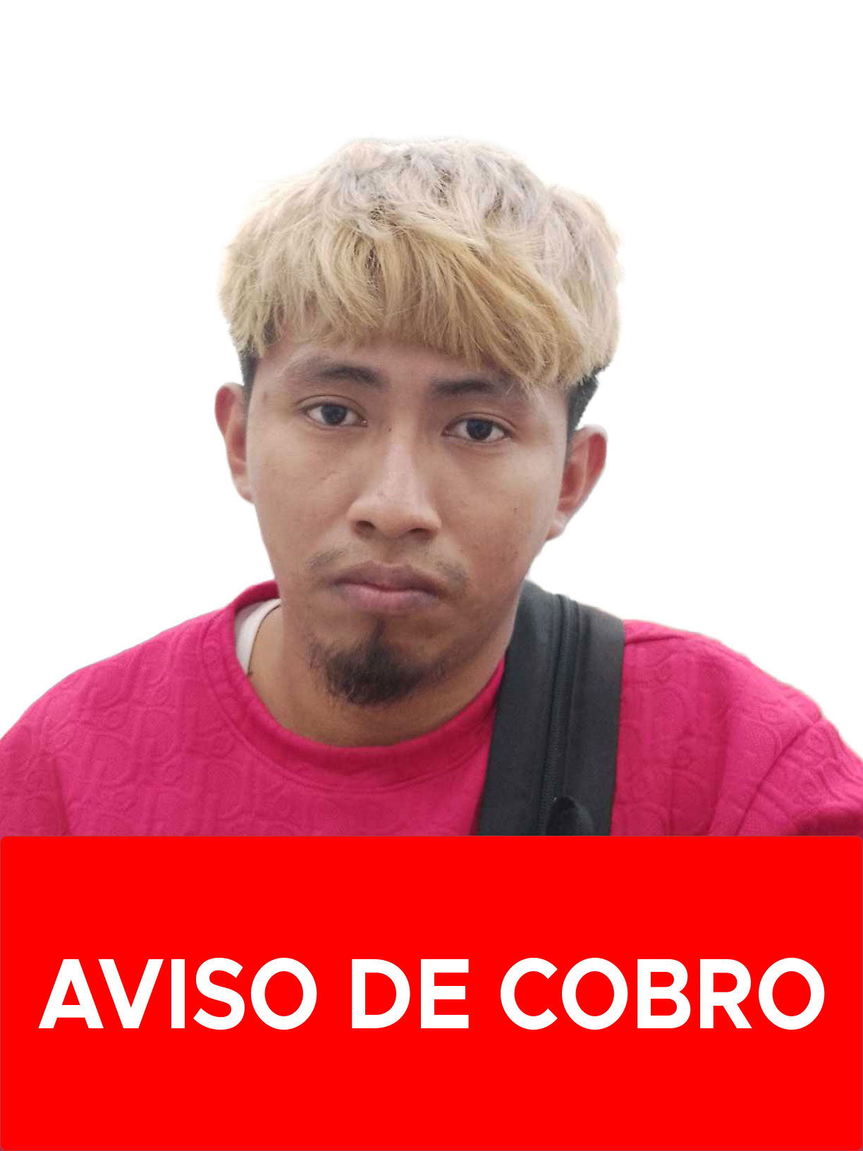 DAVID JULIO GONZALEZ GONZALEZ