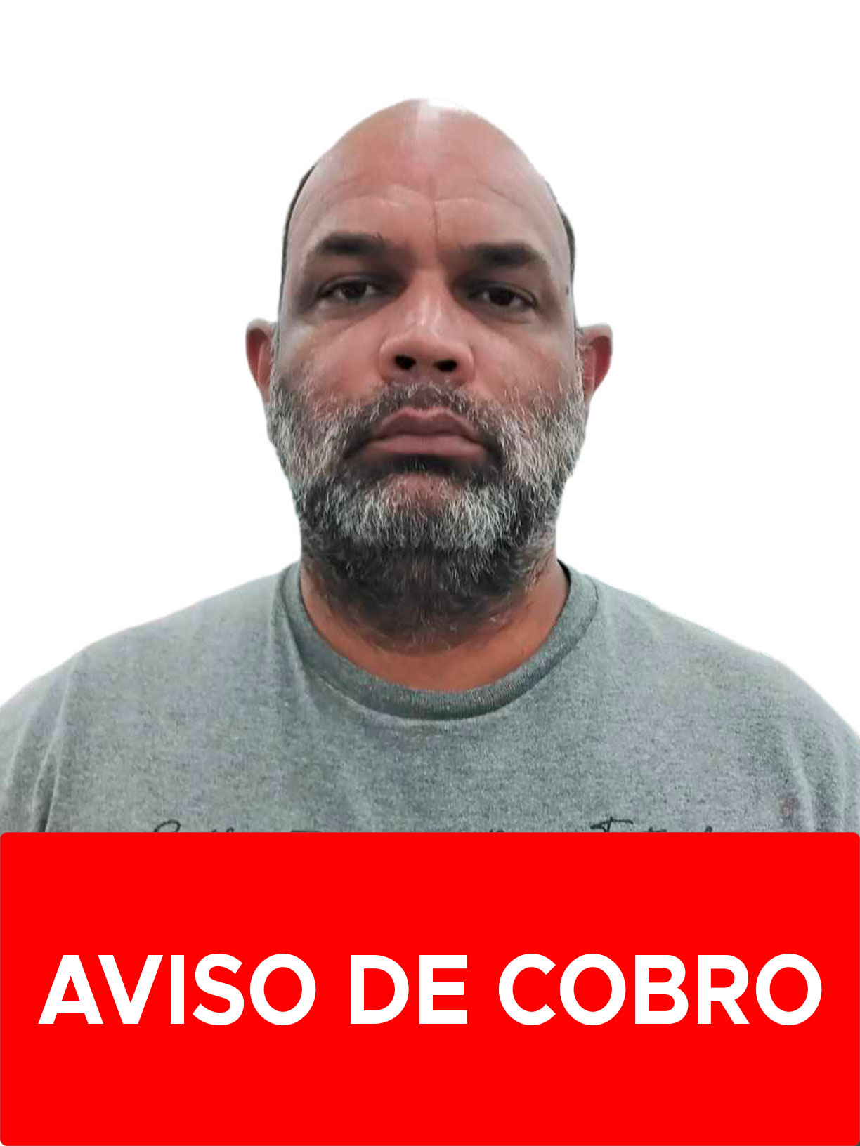 EDGAR NELIN VELASQUEZ ANGARITA