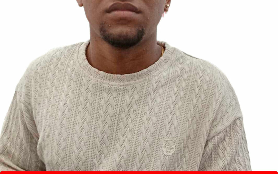 FRANCISCO ALEJANDRO MALUENGA NORIEGA