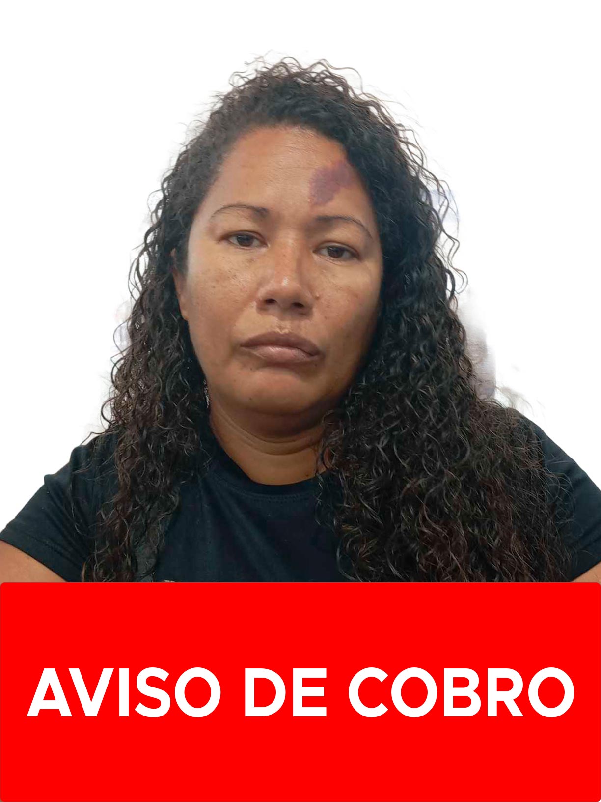 GRISELDA YANESKA CASTILLO APONTE