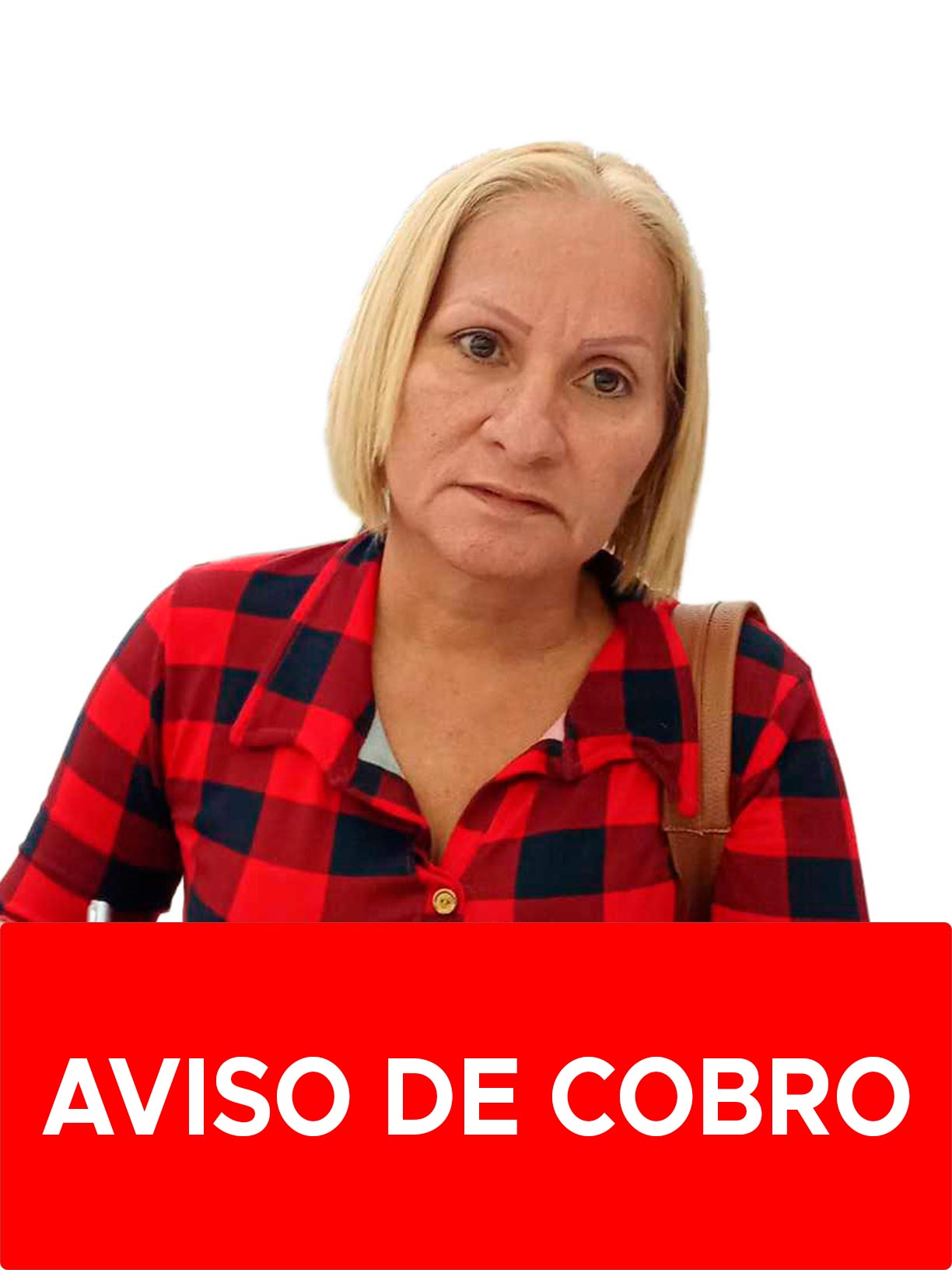 ISABEL CRISTINA GODOY TOVAR