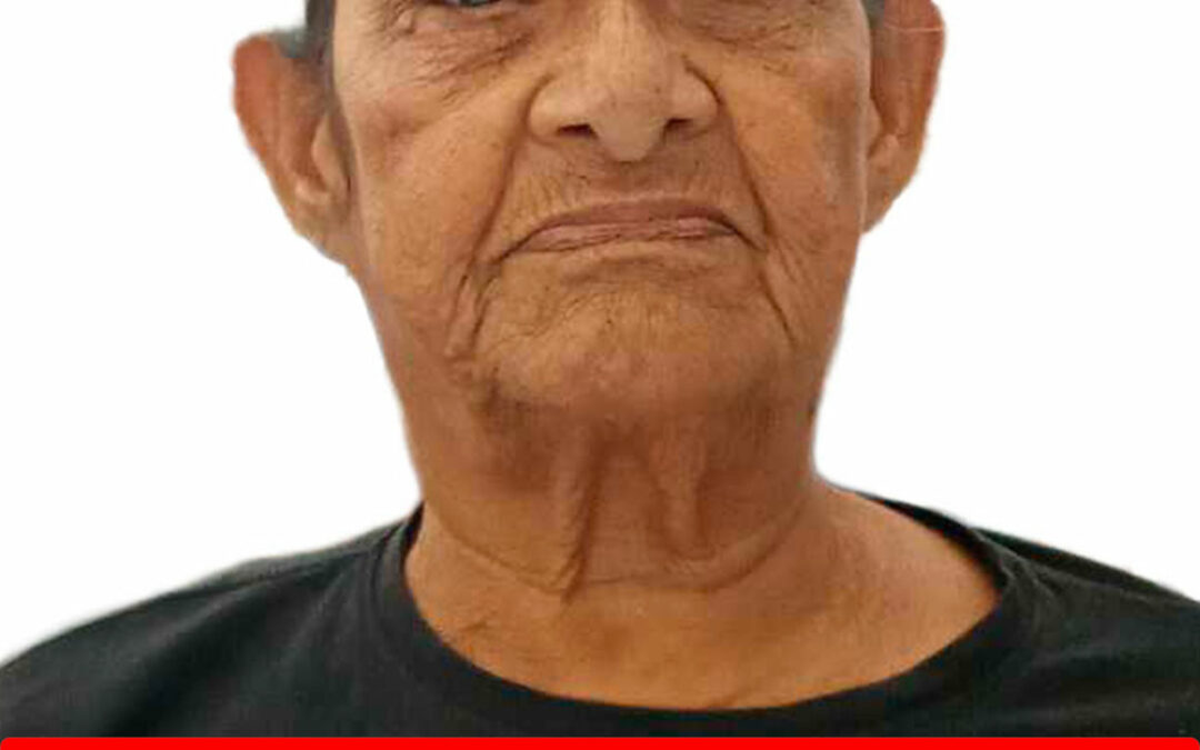 JULIA MARIA MOLINA PINTO