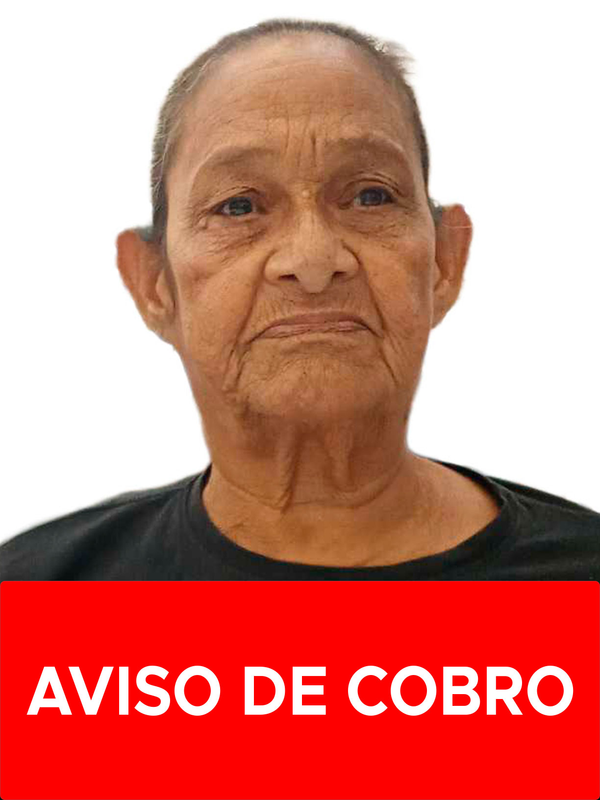 JULIA MARIA MOLINA PINTO