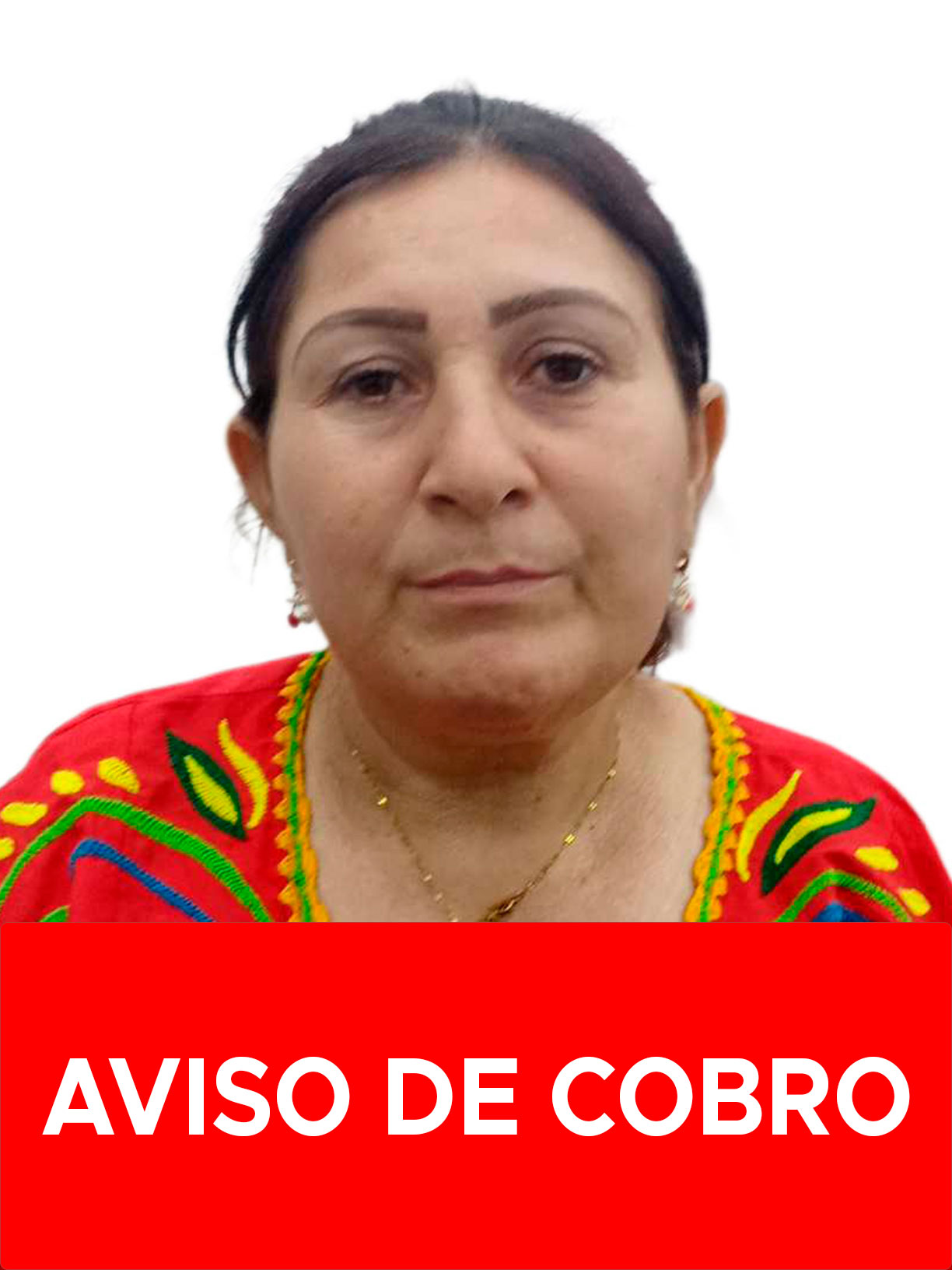 XIOMARA DEL VALLE FERNANDEZ VILLALOBOS
