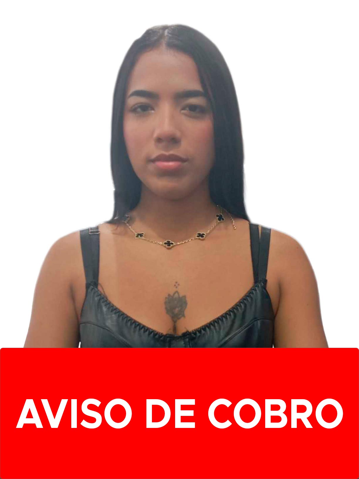 YORKELLYS DAINUBIS ARMAS MENDOZA